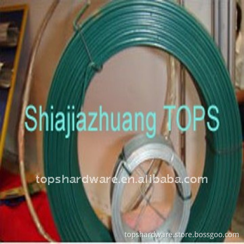 electroded galvanized iron or steel wire
